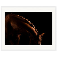 8c9b54c9-696e-4ef2-97d2-9c4e85097b55