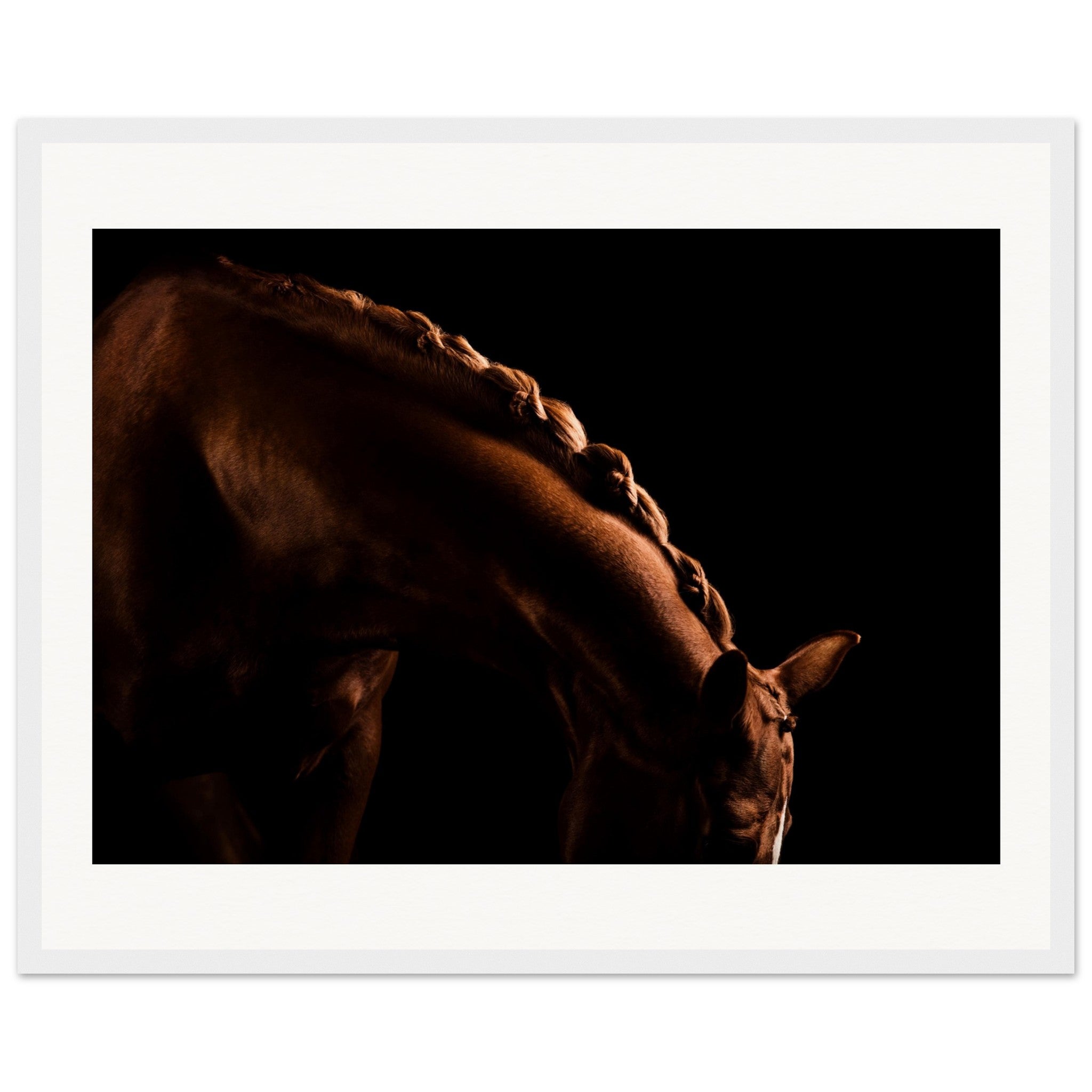 8c9b54c9-696e-4ef2-97d2-9c4e85097b55