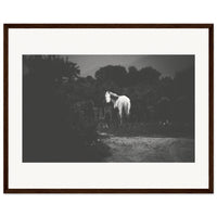 8ca5dabd-327f-4cdb-8c81-8e164e56878b