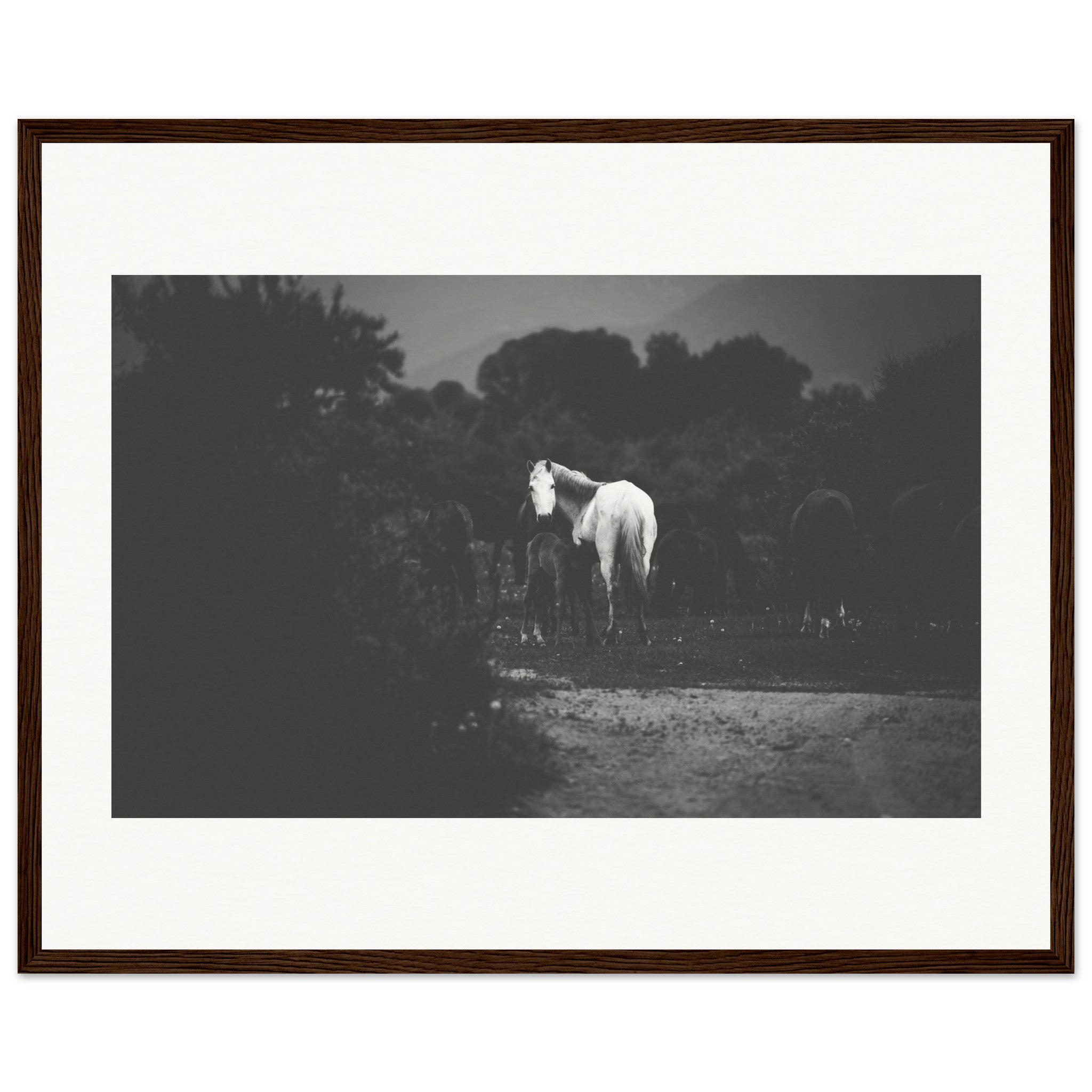 8ca5dabd-327f-4cdb-8c81-8e164e56878b