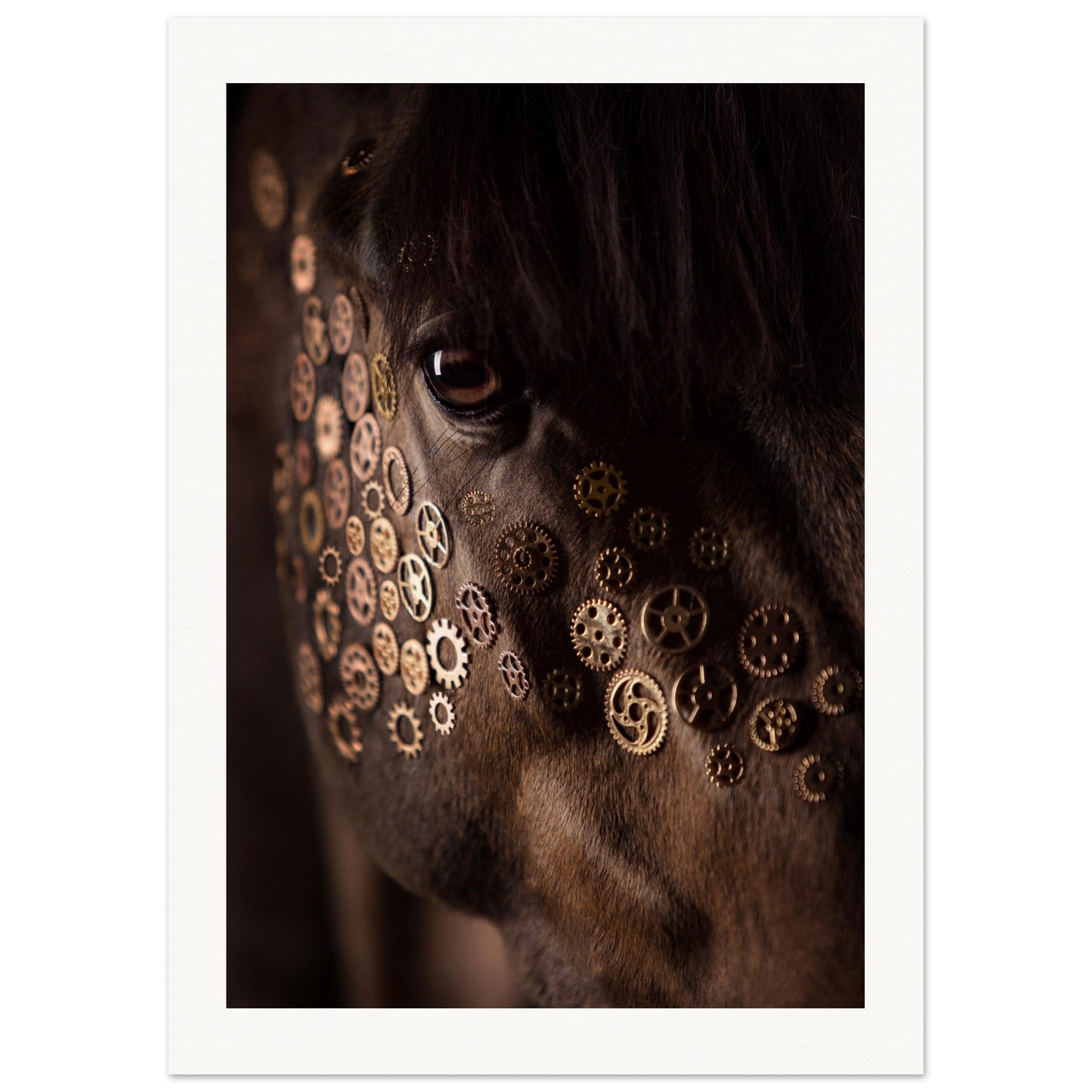 8cadb5bb-2188-4ed1-8cfe-4e872fac7610