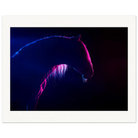 8cb7b7d8-65e8-4603-b829-8fdad1a14bac