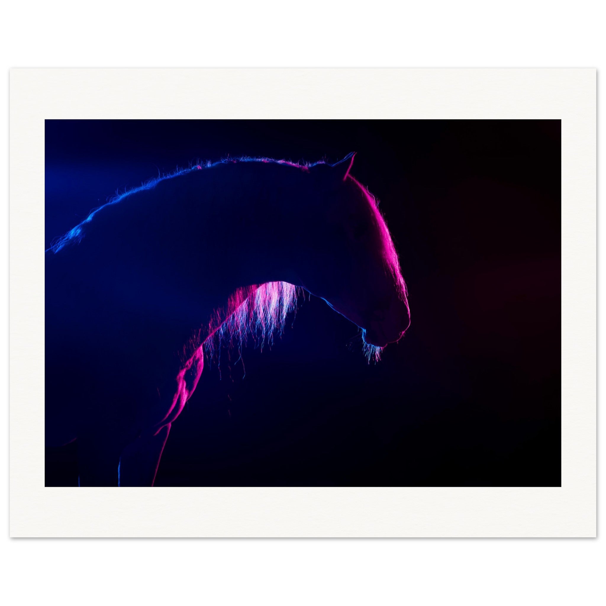 8cb7b7d8-65e8-4603-b829-8fdad1a14bac