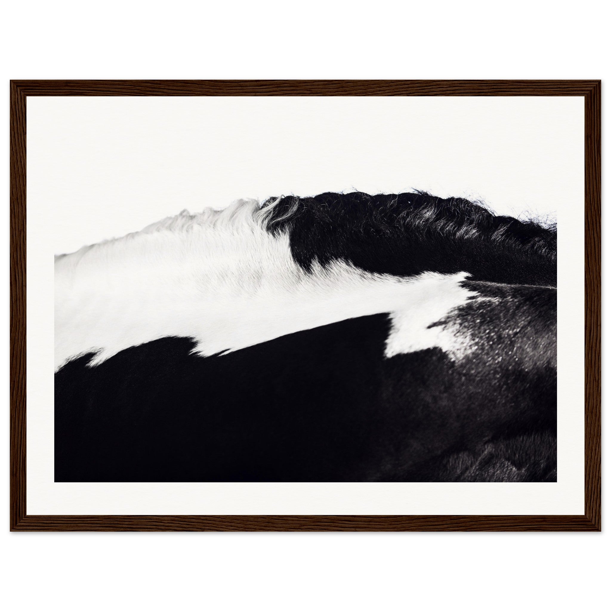 8cdbb40b-67e0-4bd1-8536-581a8864e528