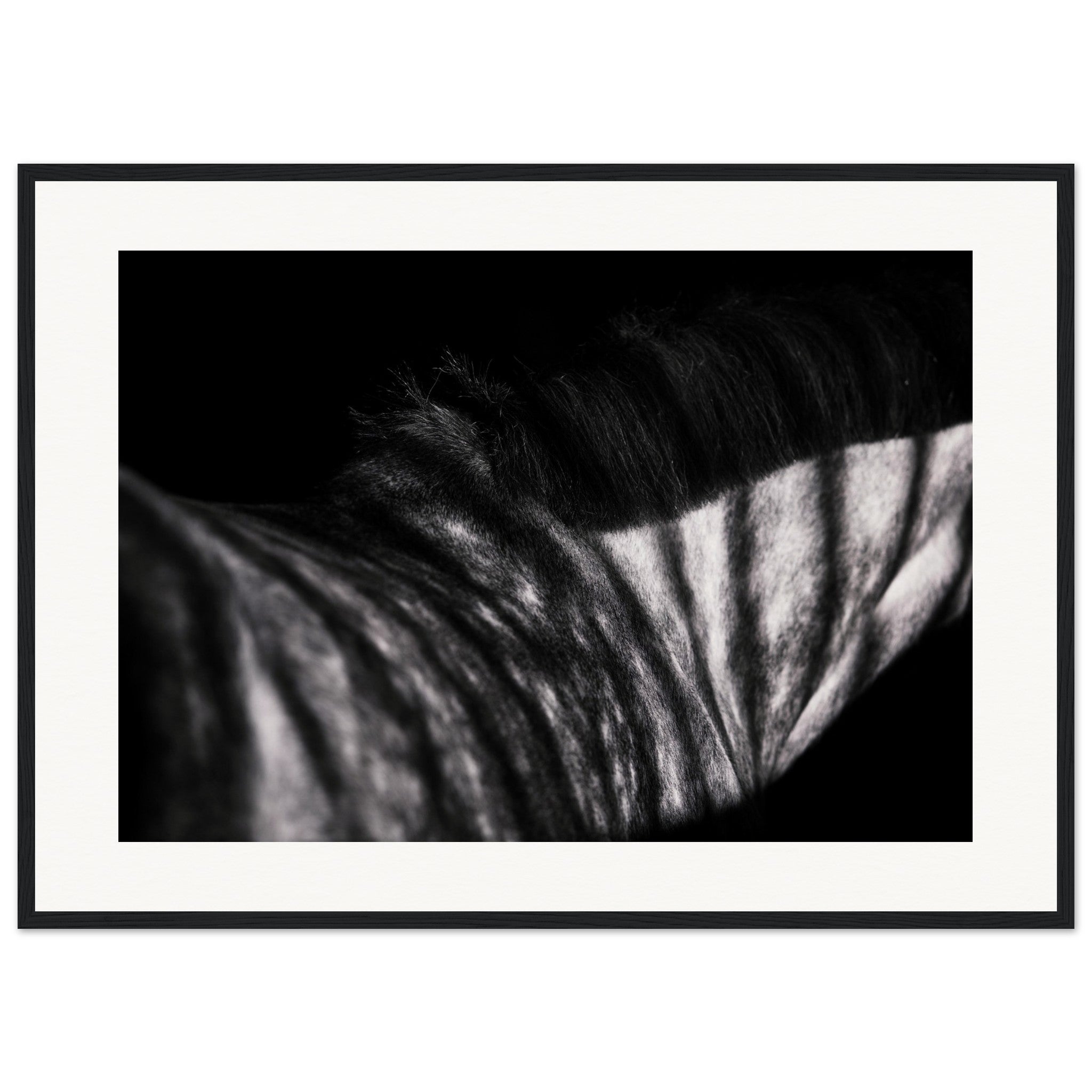 8d1df483-ae9d-449b-9dd9-69bbdccf7e91