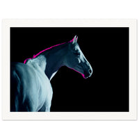 8d23b002-0835-432a-83ec-31d66aa409d9