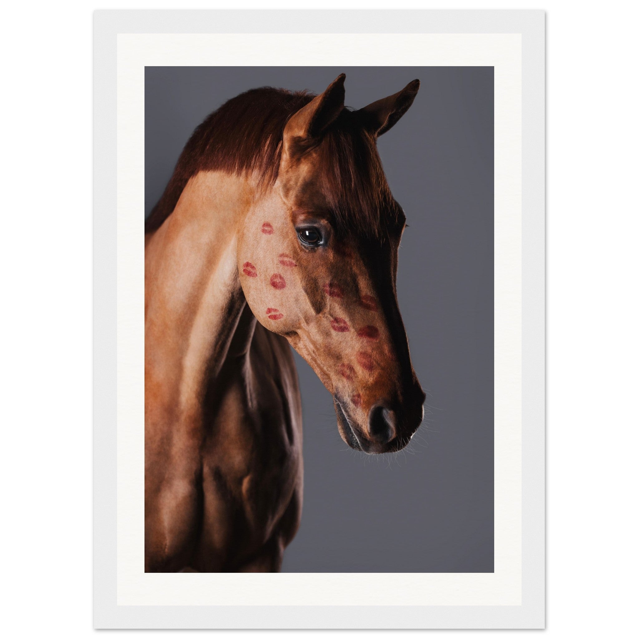 8d3116fb-3fc6-473b-8778-09c3248505e4