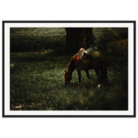 8d9f05d5-0c65-4931-94b9-c722e17baec2