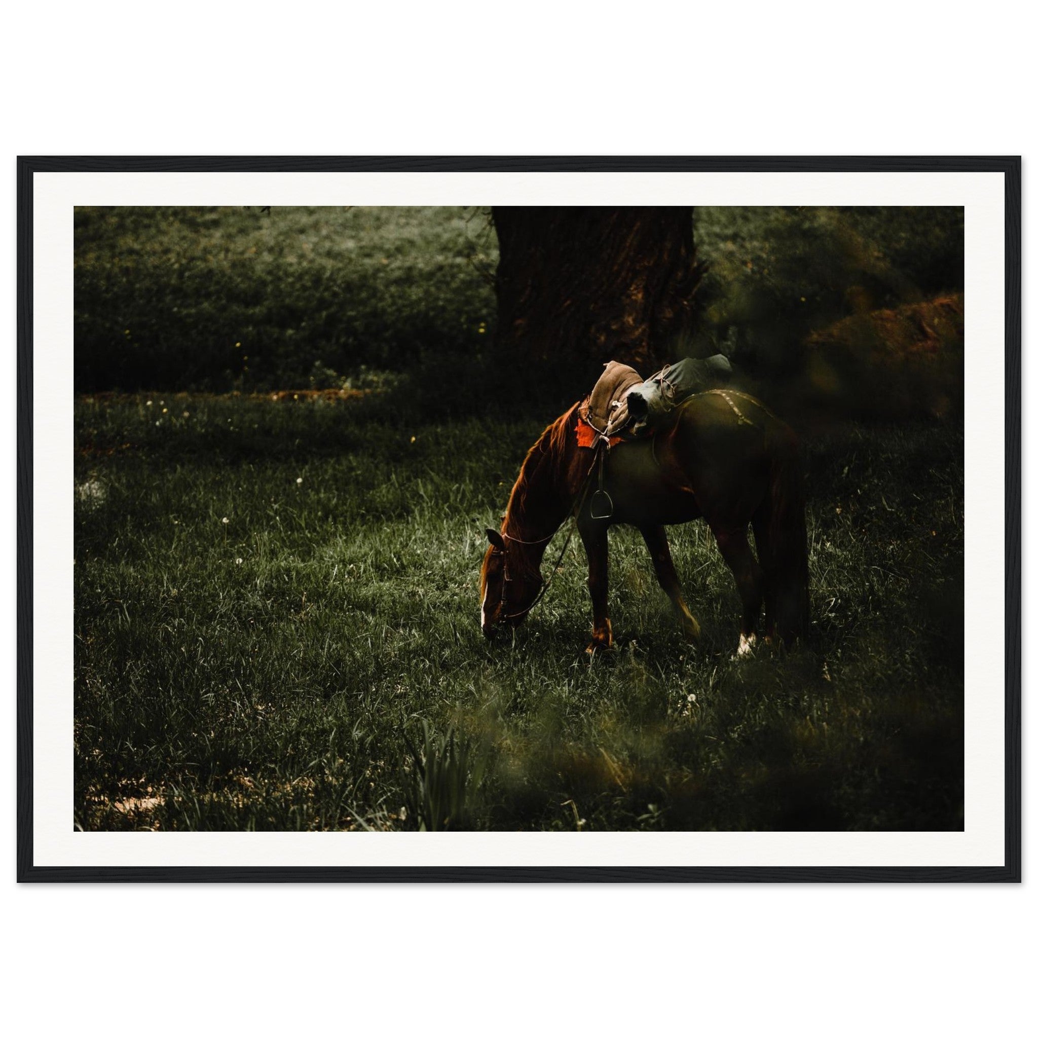 8d9f05d5-0c65-4931-94b9-c722e17baec2