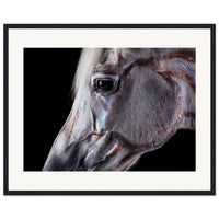 8dbc37df-0342-401b-92bb-6a2fb05f91b4