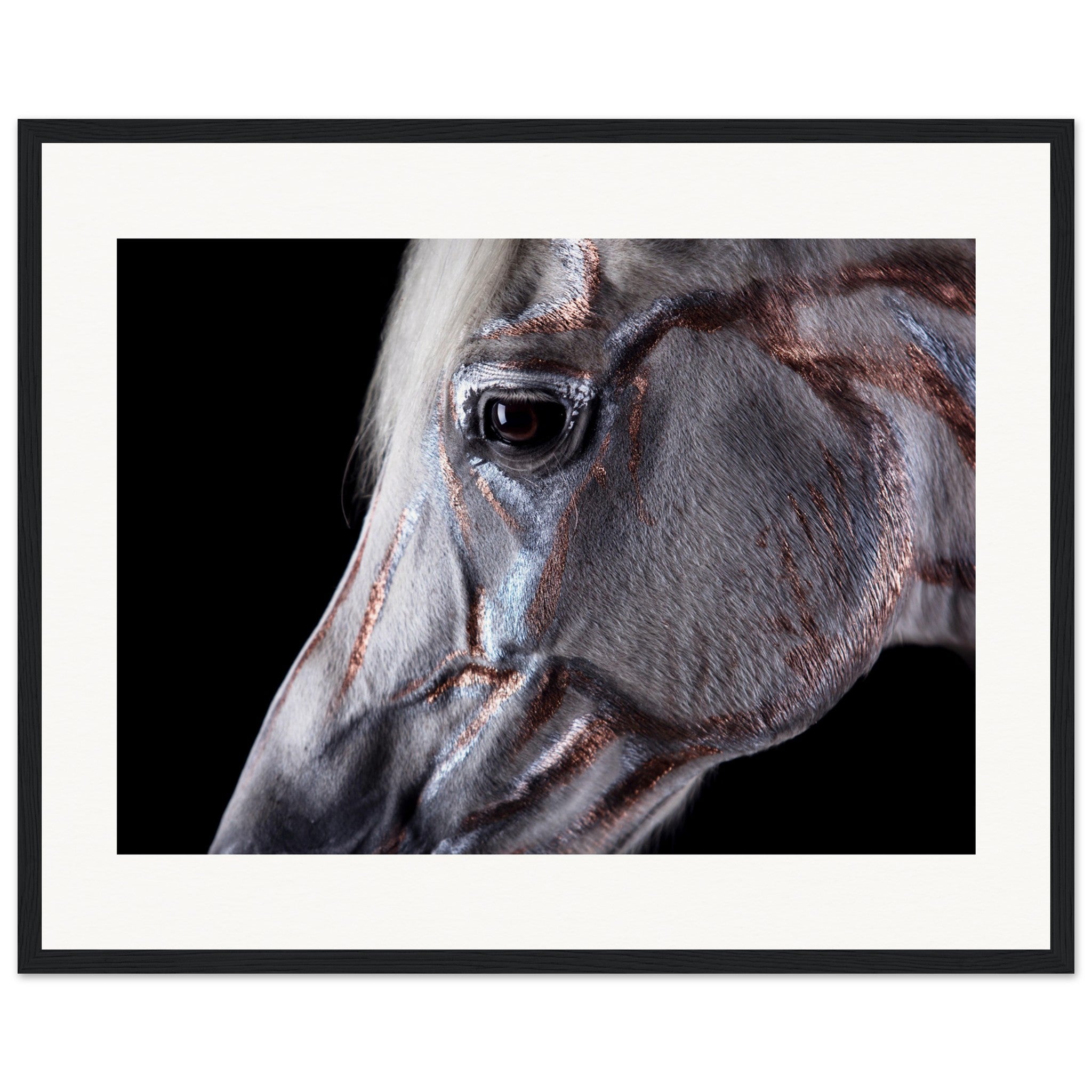 8dbc37df-0342-401b-92bb-6a2fb05f91b4