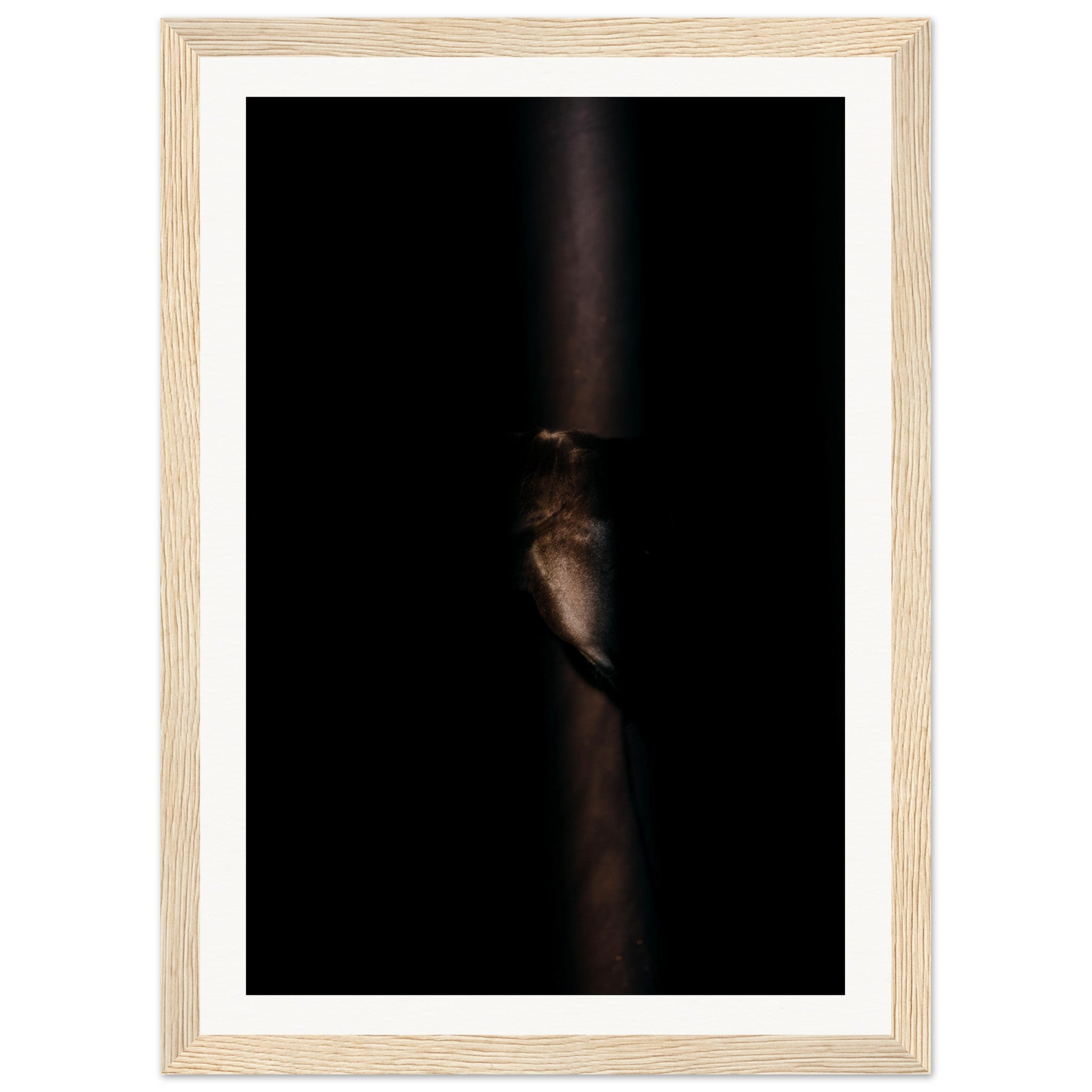 8dc1ef75-4706-465d-9878-af990b042244