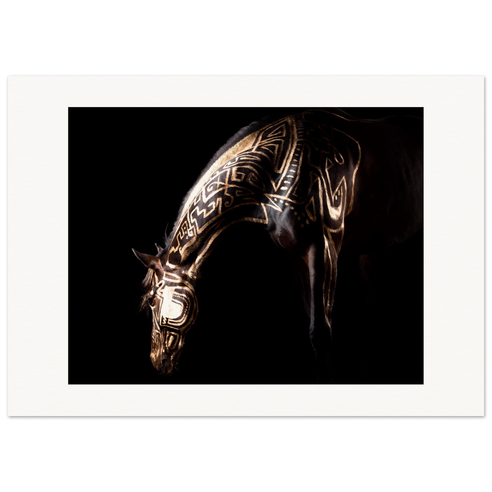 8dd0002a-5f76-4450-88e1-646392c66670