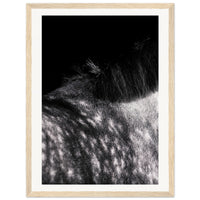 8df4adce-935a-46c3-aaaa-596083f4f992