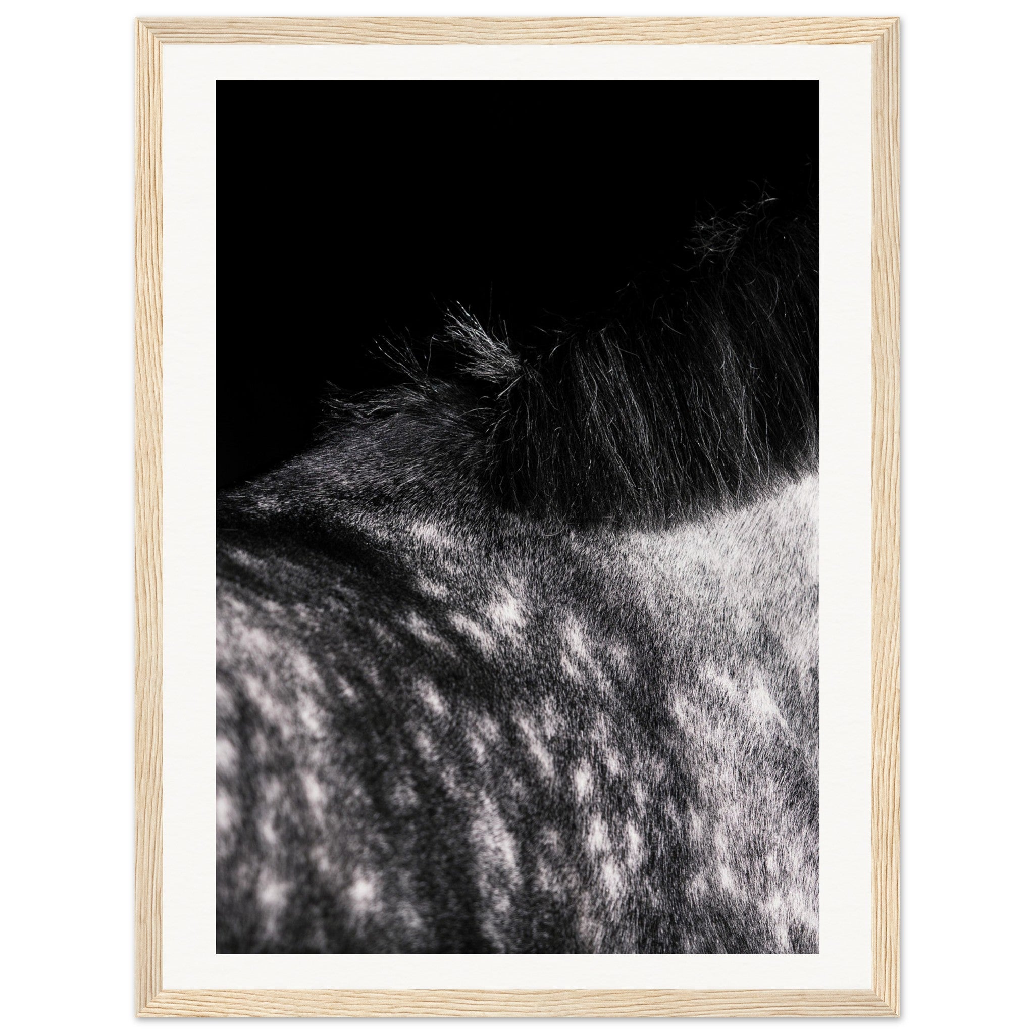 8df4adce-935a-46c3-aaaa-596083f4f992