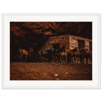 8dfa9848-2b8f-4256-8556-e1fe080f403c