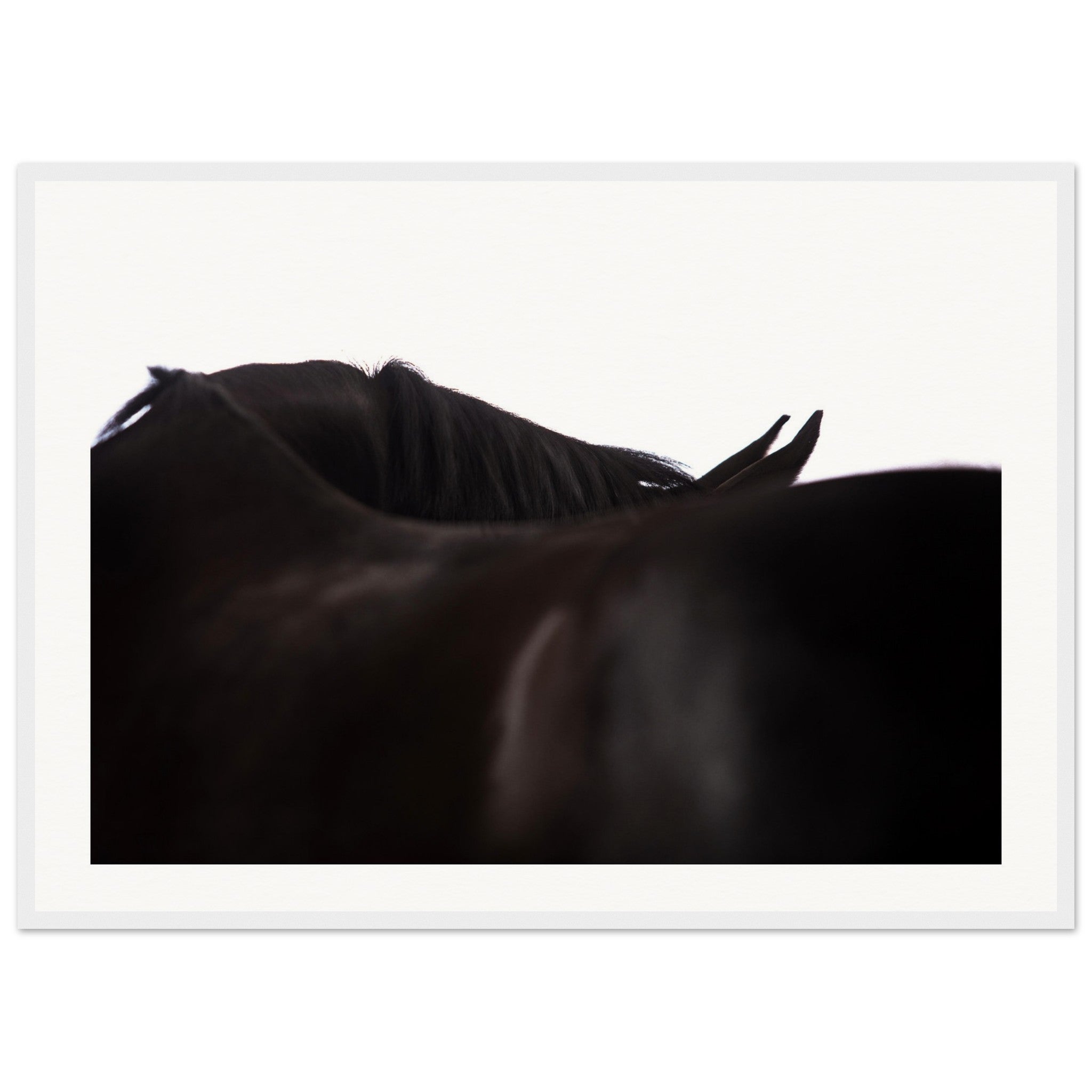 8e14ef21-abb3-470a-8511-feea3ba693e7