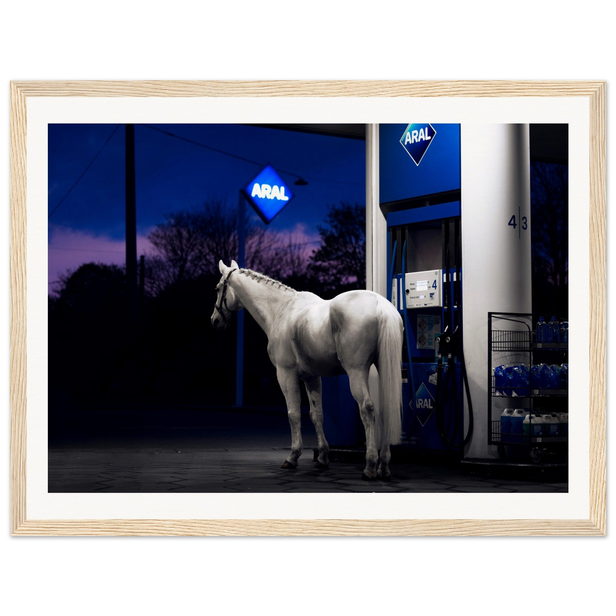 8e564bec-fa72-4282-b1ae-f40cfb29d251