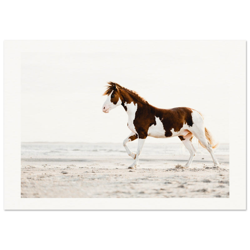 8e828639-da8e-416c-b27c-576234d8e91d