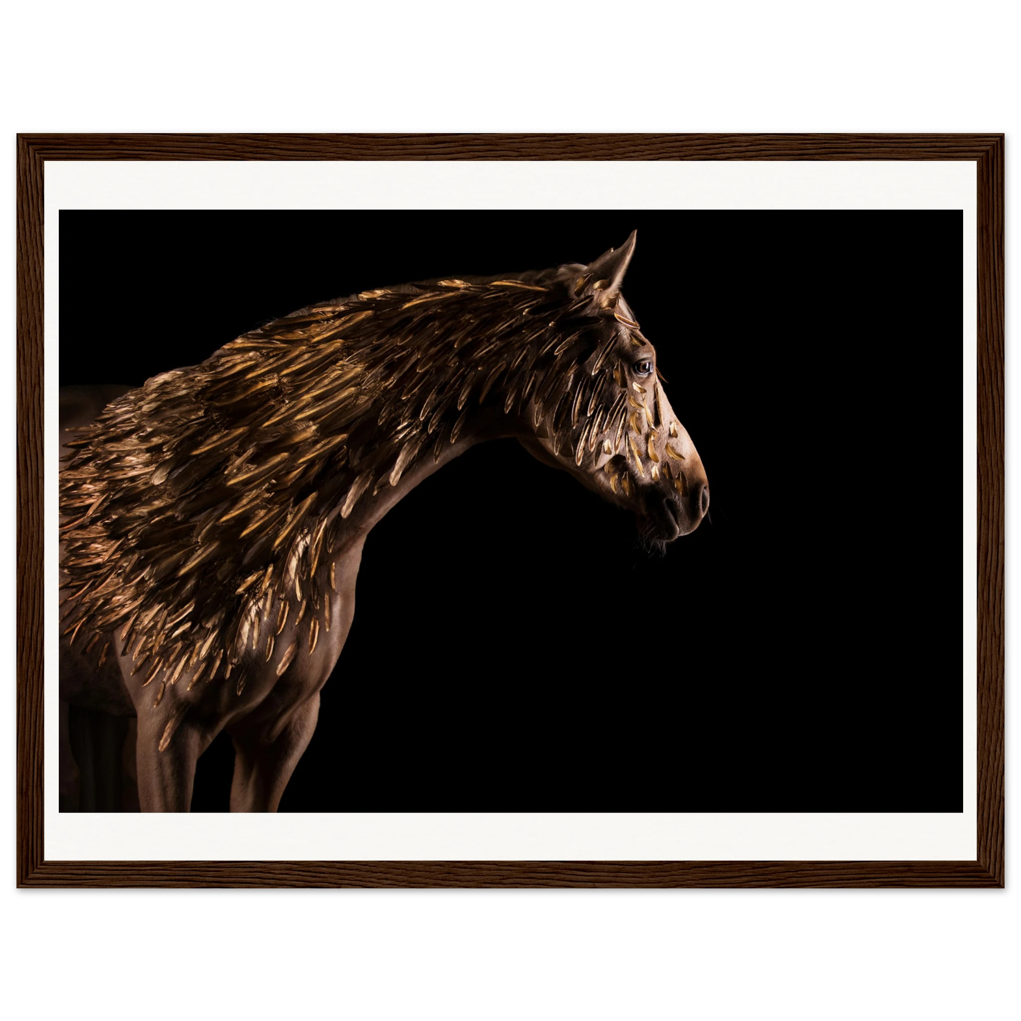 8f80b1f0-8f78-4a90-bf05-cc6fd5070a74