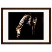 8f97c355-ea4a-4a09-a62b-dd777f3ddf46