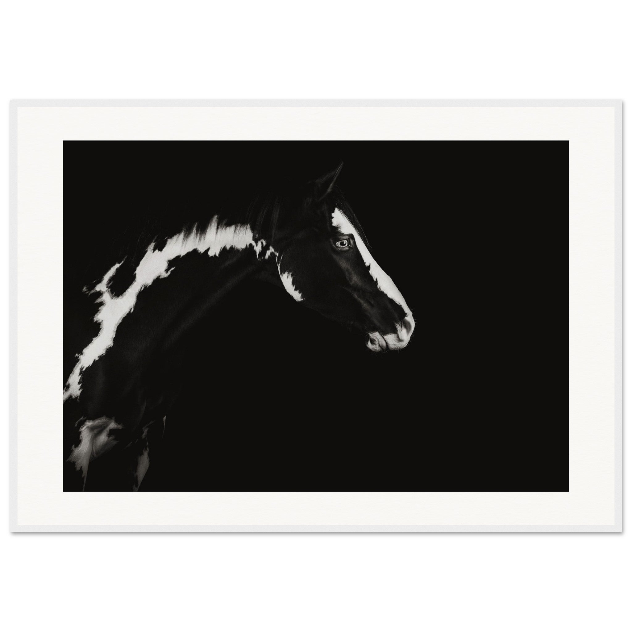 8fbe1dcb-39c3-4eba-a537-2c4d06b6f3cd