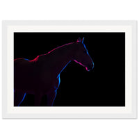 8fd4e060-c008-433e-a9aa-91e98c5334d8