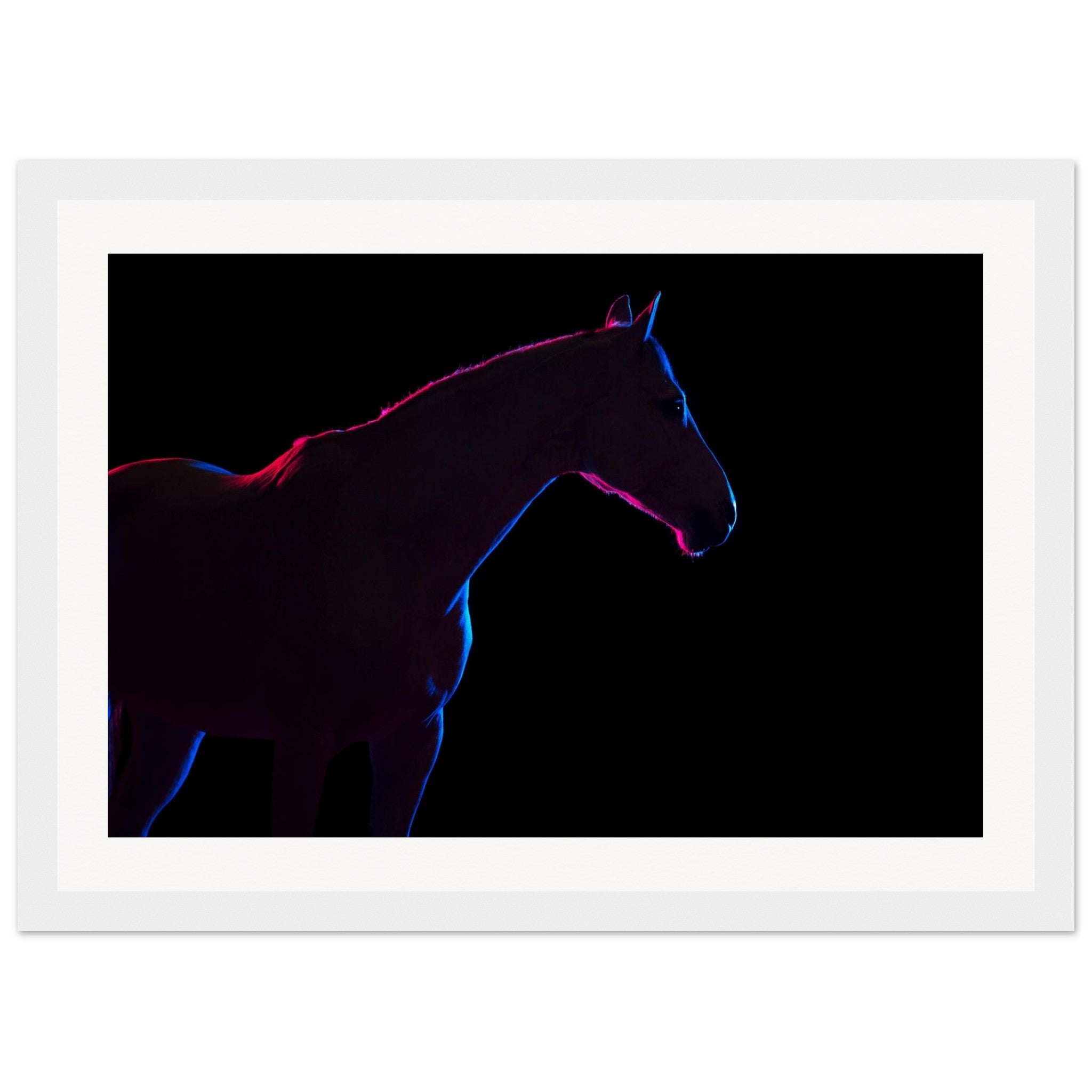 8fd4e060-c008-433e-a9aa-91e98c5334d8