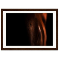 9012b181-48a6-4005-a25b-9ed04cc6517c