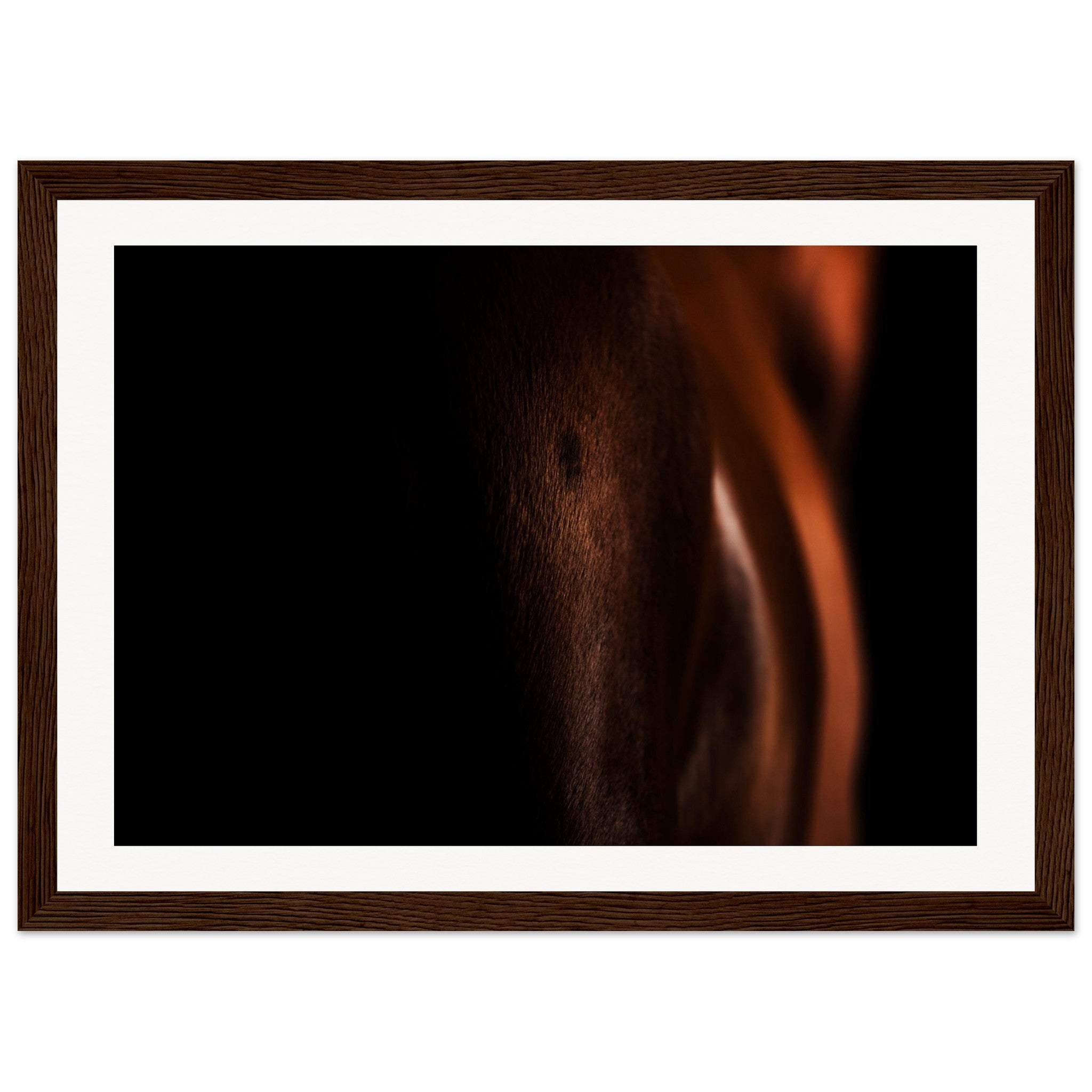 9012b181-48a6-4005-a25b-9ed04cc6517c