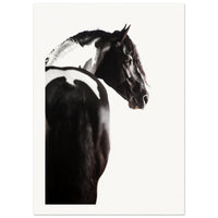 9032aff9-c7b1-434a-b50a-94b2e77da429