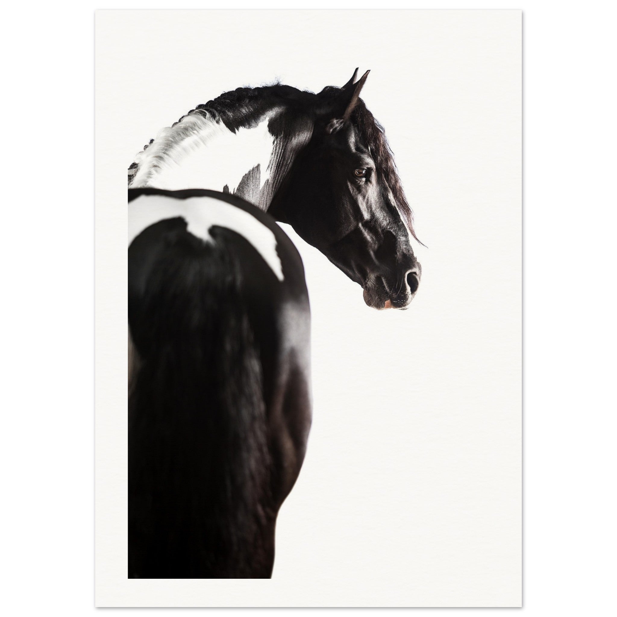 9032aff9-c7b1-434a-b50a-94b2e77da429