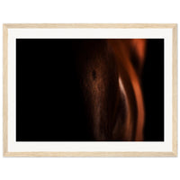 90330304-89d2-431b-bf49-962b377bae60