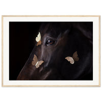 908e6f7c-aa50-49d0-b8cb-b545839e520a