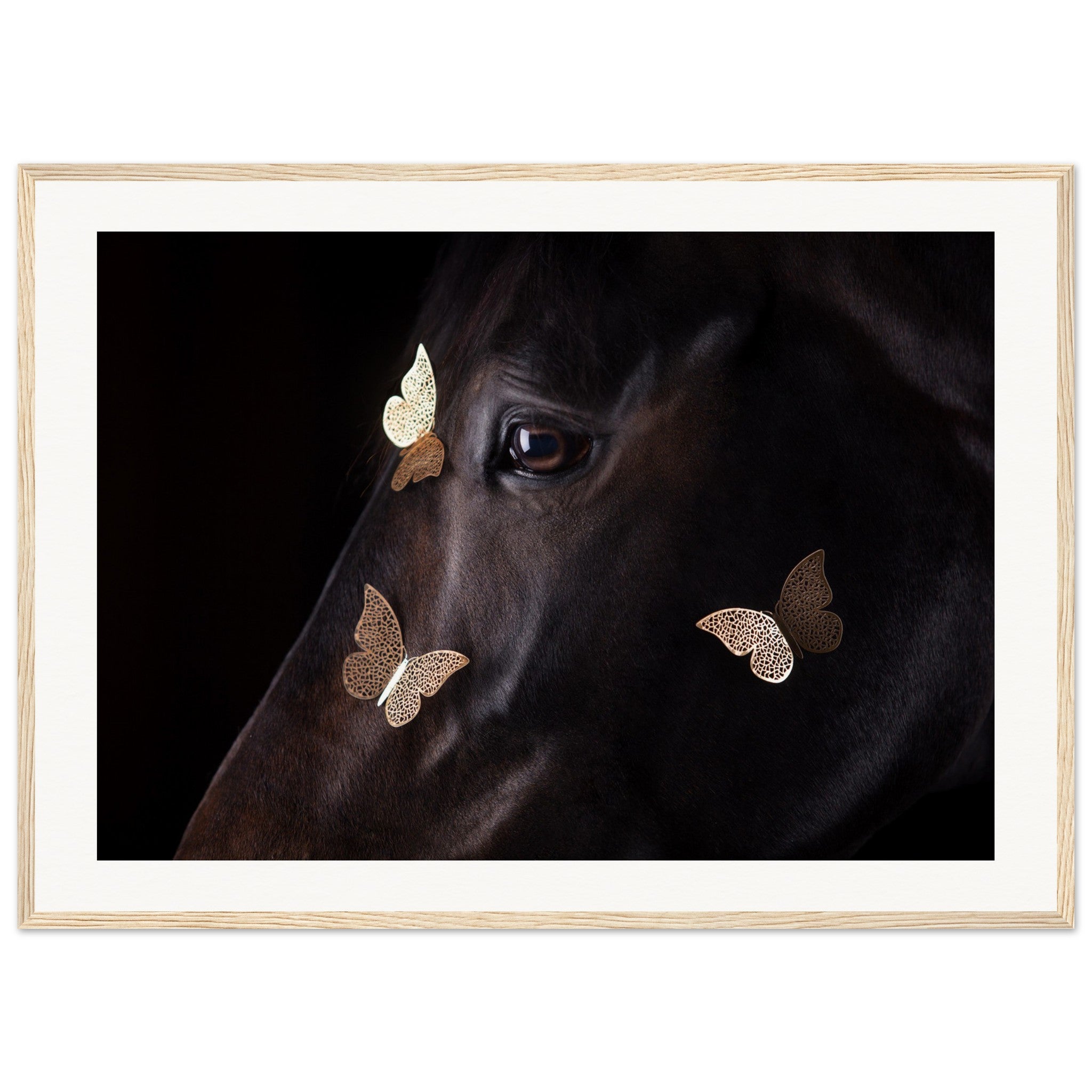 908e6f7c-aa50-49d0-b8cb-b545839e520a