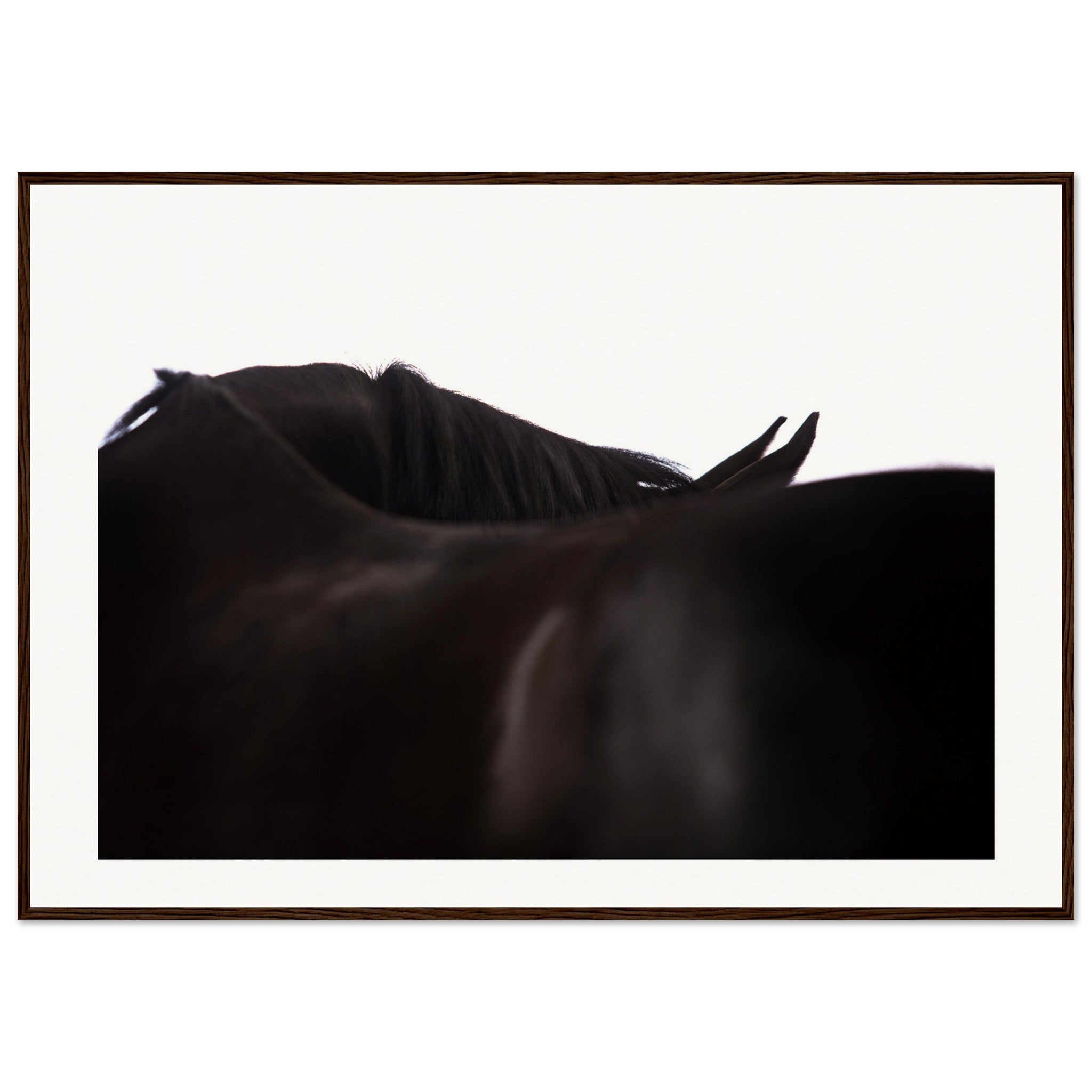 9090af24-83d6-422e-9b20-9dd9f19807d9