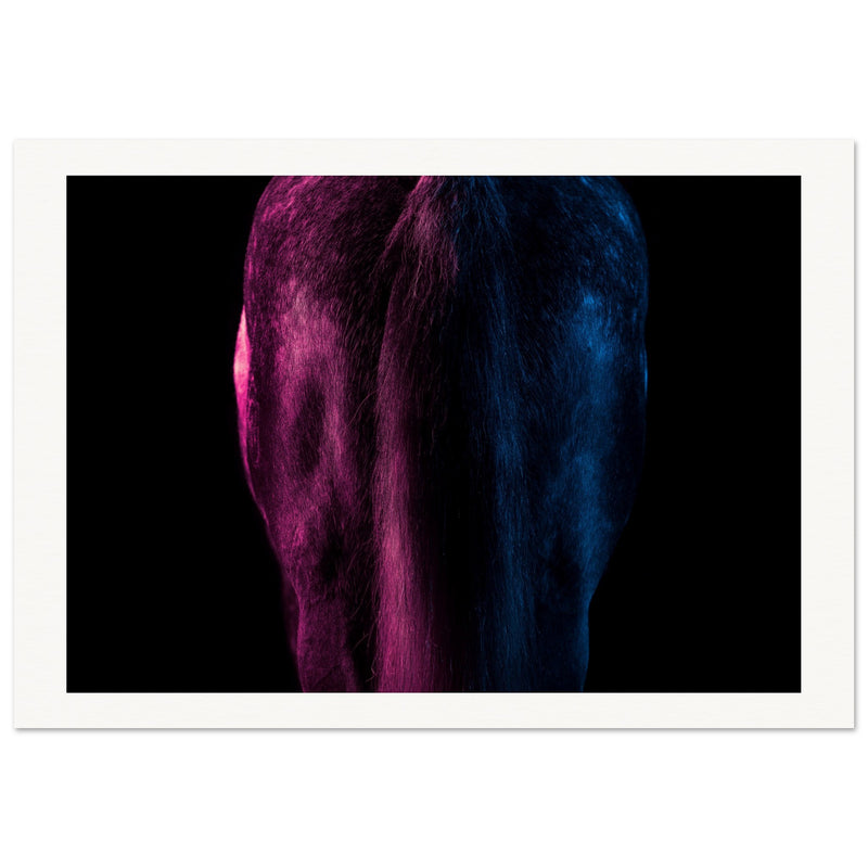 9175acb5-88c8-4cd3-80c7-f7be556b1546