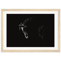 917acb16-a0df-49cf-bcd8-61311d0fadcf