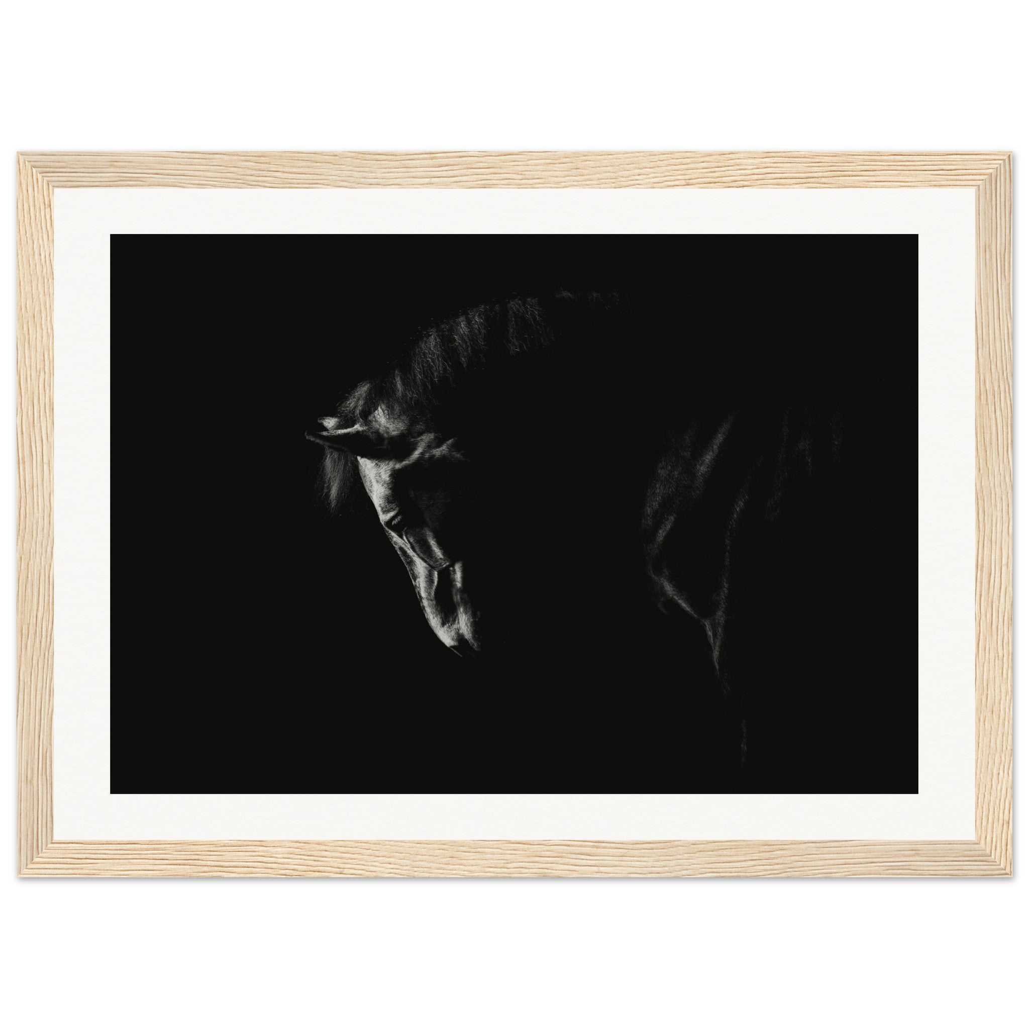 917acb16-a0df-49cf-bcd8-61311d0fadcf