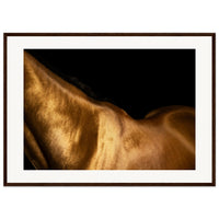 91891bba-f21e-43f0-94db-61f51ddeea76