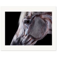 91b373c5-8882-4e99-8bed-df471b9e5d8c