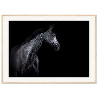 920b3fd5-3bbd-4437-a157-dc4cec27177e