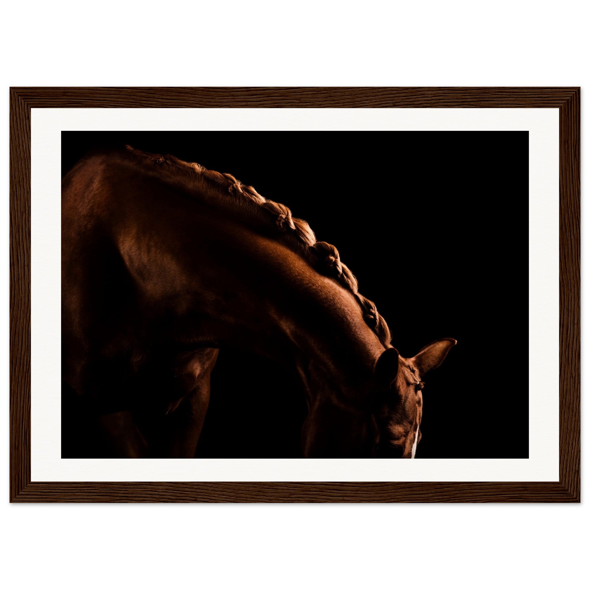 925dbd1b-4e77-4857-b67f-88cba1505ffe