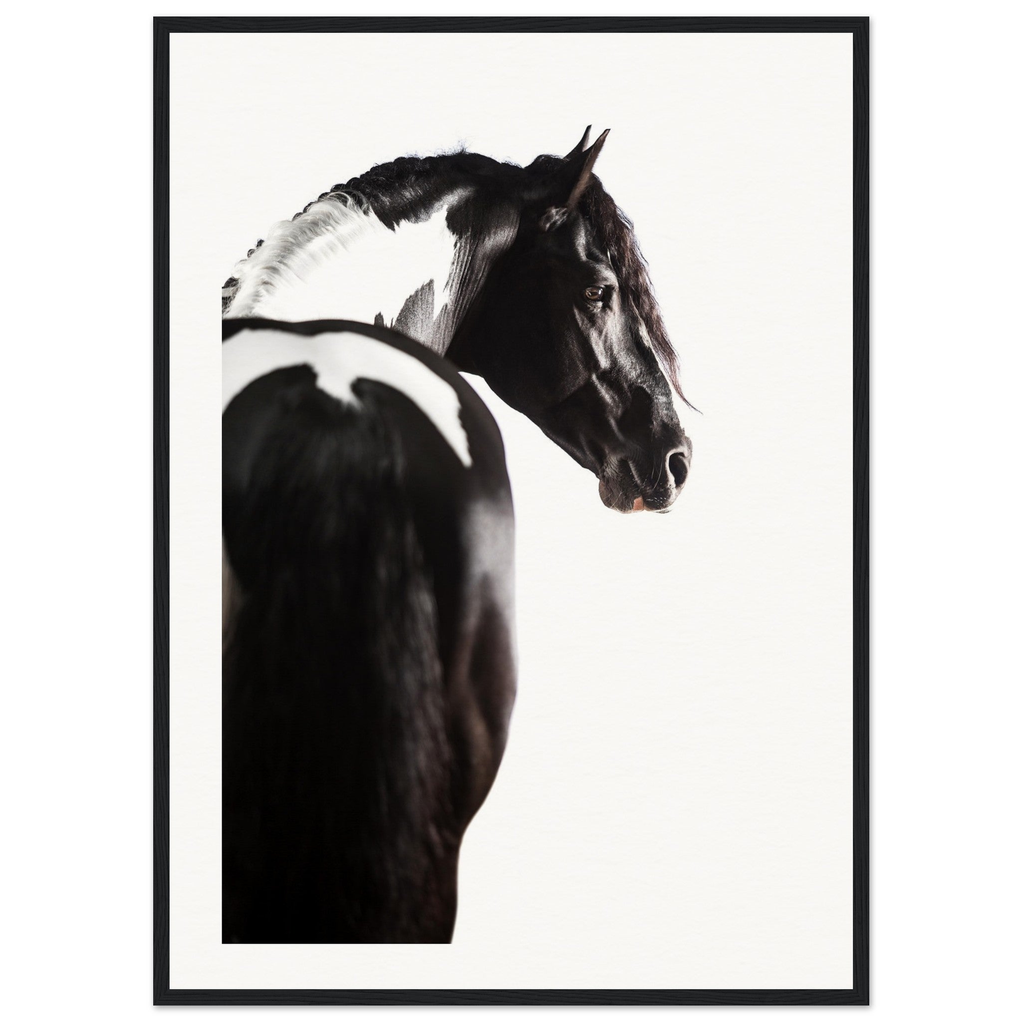 928815a5-95cd-47be-ade4-8210666a144f