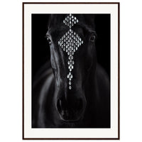 929c7e58-9797-42cd-b0dd-368d4fe0dad4