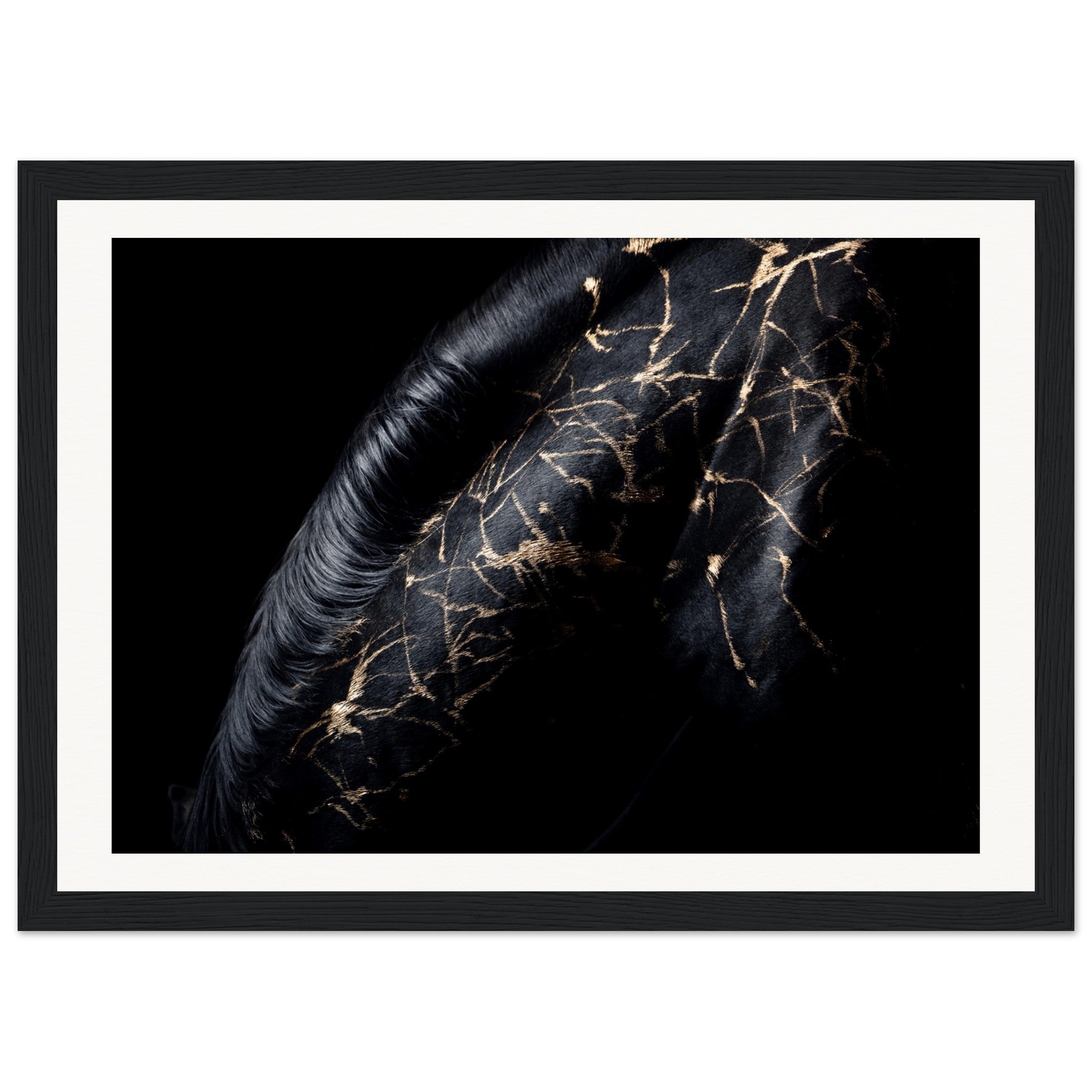 92b0c67f-75e6-4c7c-81f5-43353cfb3fe2