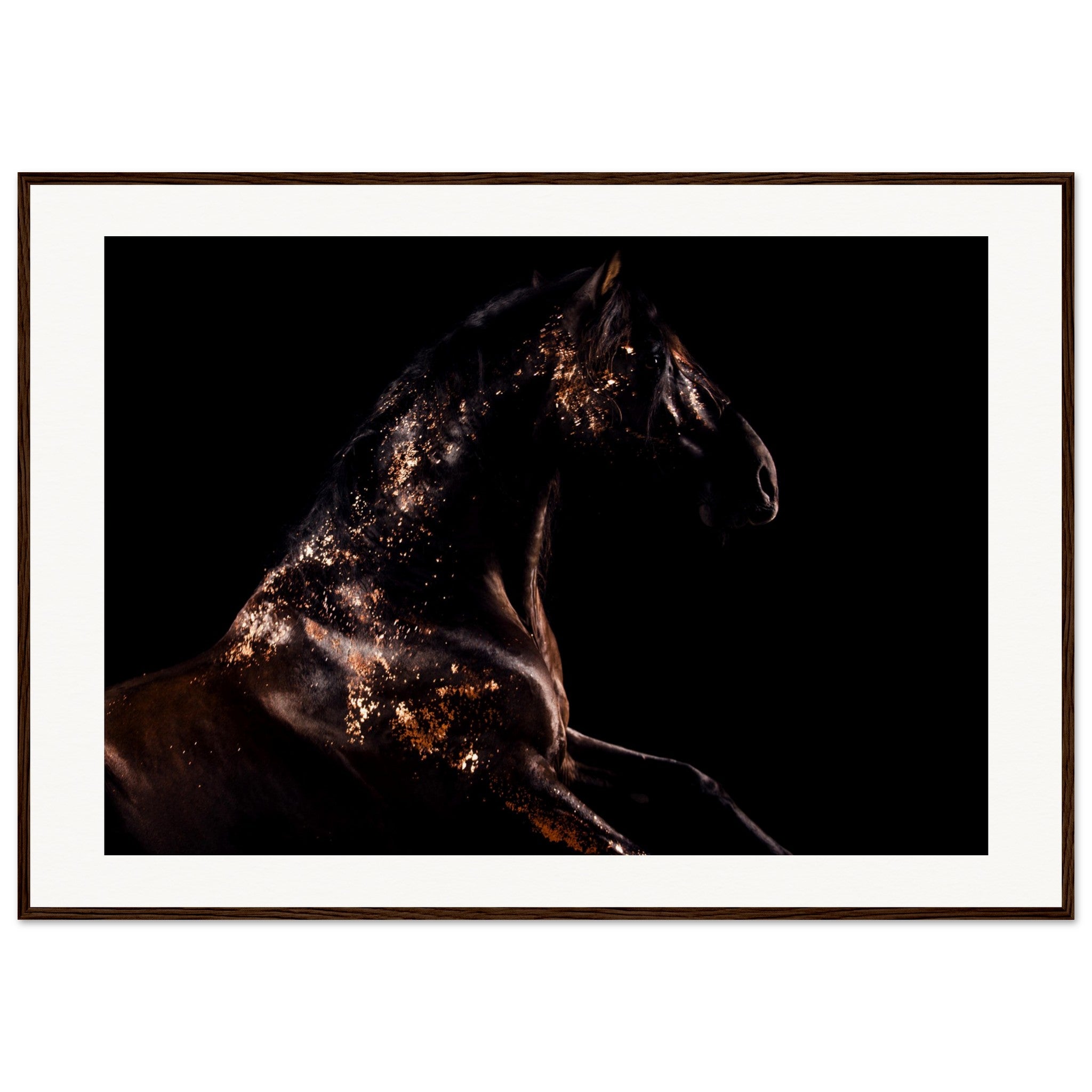 92c43d35-11ae-45ce-a752-b92c88894e45