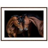 92cd6120-d354-4dd0-b026-8503208b7f49