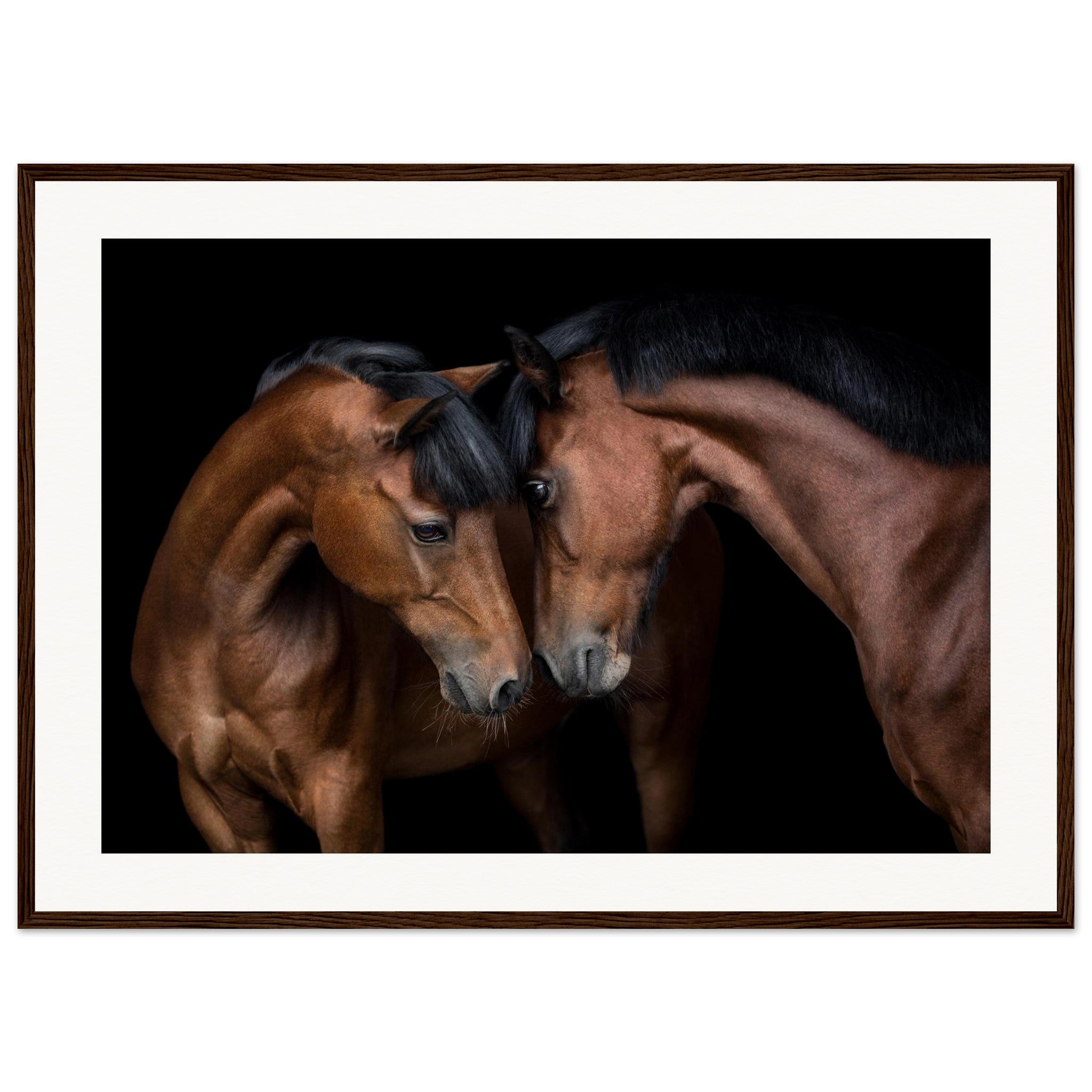 92cd6120-d354-4dd0-b026-8503208b7f49