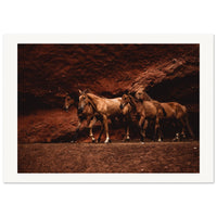 93172767-7128-4b13-9e81-64ef99753adf